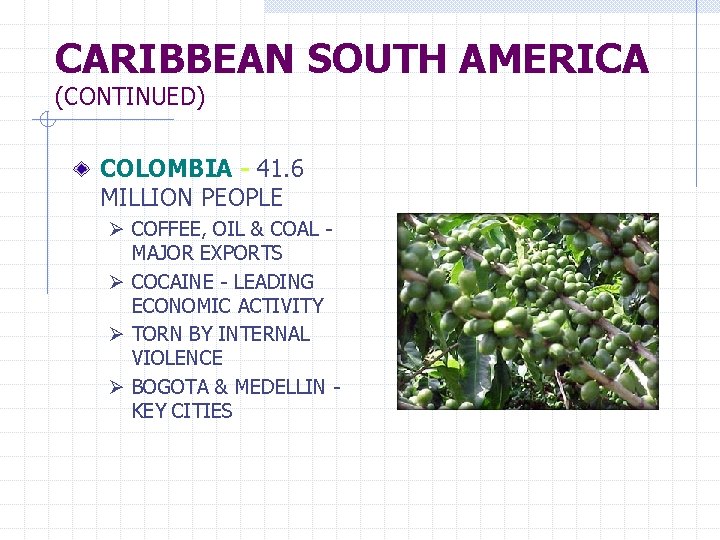 CARIBBEAN SOUTH AMERICA (CONTINUED) COLOMBIA - 41. 6 MILLION PEOPLE Ø COFFEE, OIL &