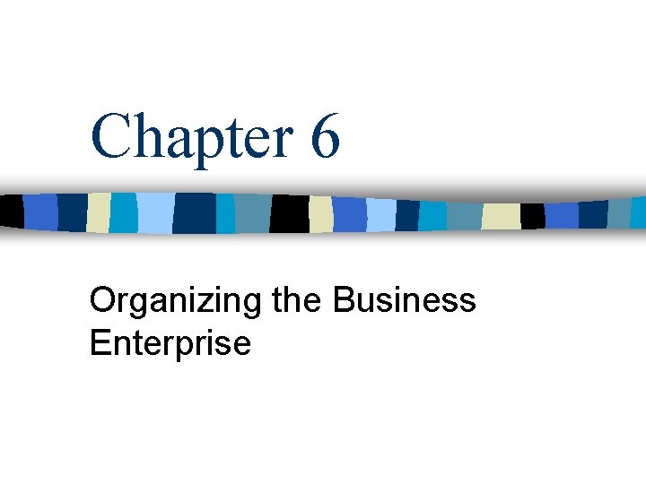 Chapter 6 Organizing the Business Enterprise 