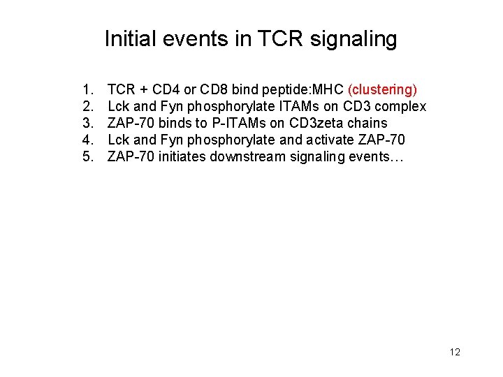 Initial events in TCR signaling 1. 2. 3. 4. 5. TCR + CD 4