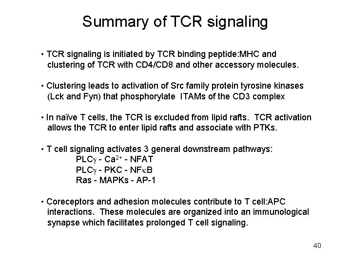 Summary of TCR signaling • TCR signaling is initiated by TCR binding peptide: MHC