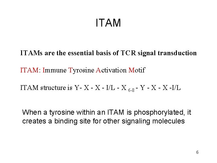 ITAMs are the essential basis of TCR signal transduction ITAM: Immune Tyrosine Activation Motif