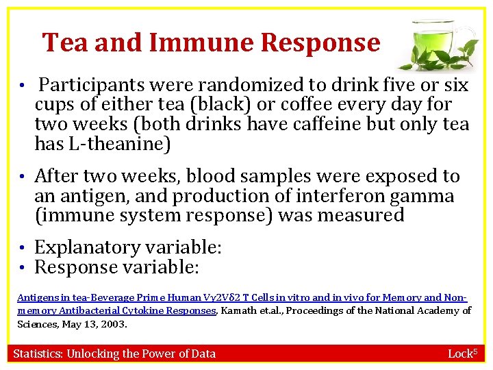 Tea and Immune Response • Participants were randomized to drink five or six cups