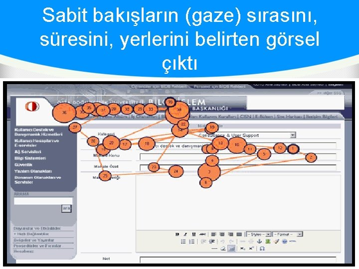 Sabit bakışların (gaze) sırasını, süresini, yerlerini belirten görsel çıktı 