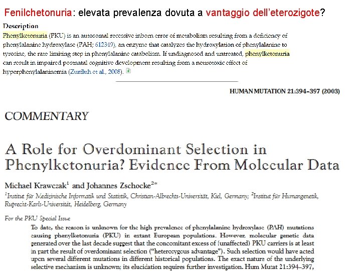 Fenilchetonuria: elevata prevalenza dovuta a vantaggio dell’eterozigote? Fenilchetonuria: elevata prevalenza dovuta a vantaggio dell’eterozigote?