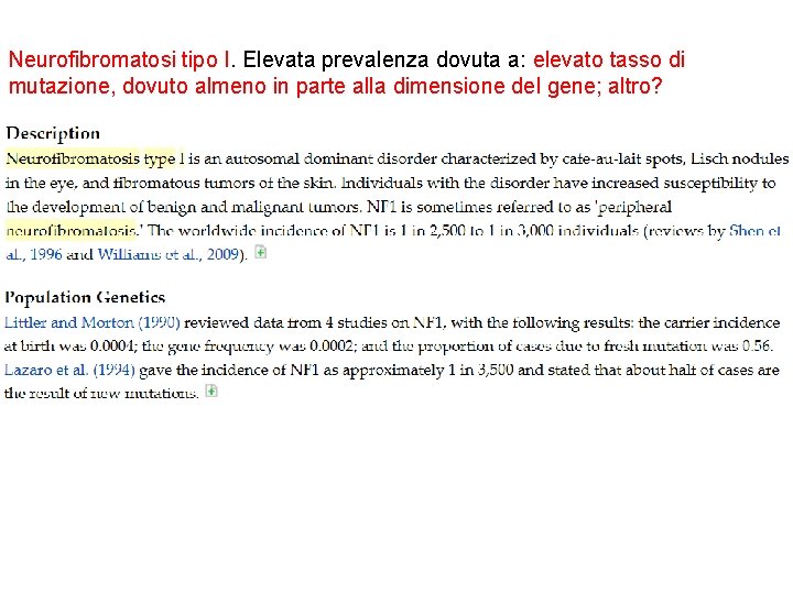 Neurofibromatosi tipo I. Elevata prevalenza dovuta a: elevato tasso di mutazione, dovuto almeno in Neurofibromatosi tipo I. Elevata prevalenza dovuta a: elevato tasso di mutazione, dovuto almeno in
