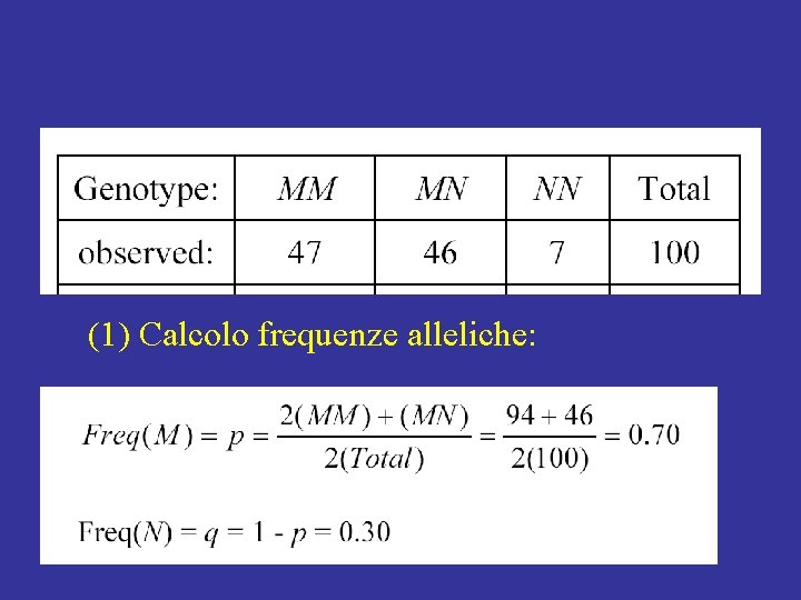 (1) Calcolo frequenze alleliche: (1) Calcolo frequenze alleliche: