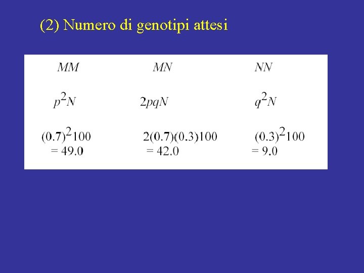(2) Numero di genotipi attesi (2) Numero di genotipi attesi