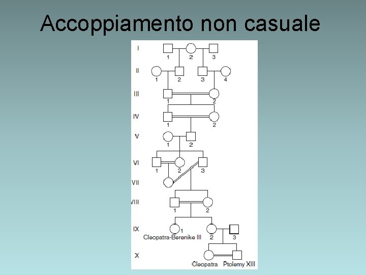 Accoppiamento non casuale Accoppiamento non casuale