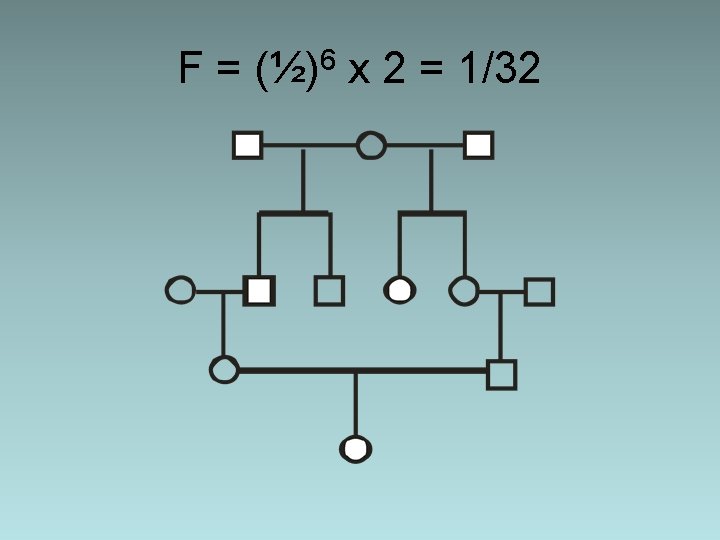 F = (½)6 x 2 = 1/32 F = (½)6 x 2 = 1/32