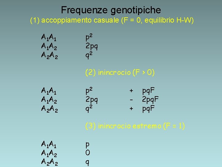 Frequenze genotipiche (1) accoppiamento casuale (F = 0, equilibrio H-W) A 1 A 1 Frequenze genotipiche (1) accoppiamento casuale (F = 0, equilibrio H-W) A 1 A 1