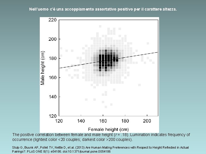 Nell’uomo c’è una accoppiamento assortativo positivo per il carattere altezza. The positive correlation between Nell’uomo c’è una accoppiamento assortativo positivo per il carattere altezza. The positive correlation between