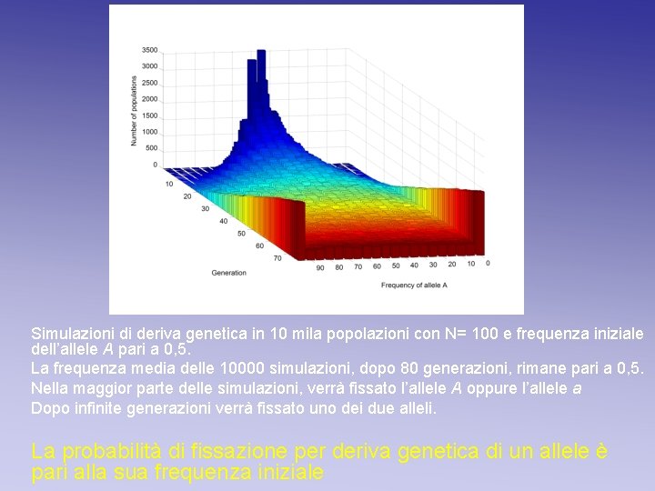 Simulazioni di deriva genetica in 10 mila popolazioni con N= 100 e frequenza iniziale Simulazioni di deriva genetica in 10 mila popolazioni con N= 100 e frequenza iniziale