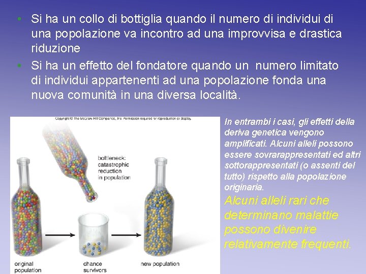 • Si ha un collo di bottiglia quando il numero di individui di • Si ha un collo di bottiglia quando il numero di individui di