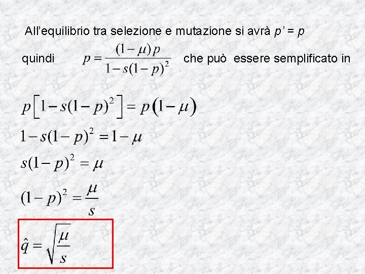 All’equilibrio tra selezione e mutazione si avrà p’ = p quindi che può essere All’equilibrio tra selezione e mutazione si avrà p’ = p quindi che può essere