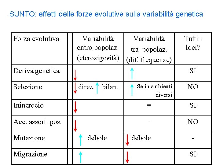 SUNTO: effetti delle forze evolutive sulla variabilità genetica Forza evolutiva Variabilità entro popolaz. tra SUNTO: effetti delle forze evolutive sulla variabilità genetica Forza evolutiva Variabilità entro popolaz. tra