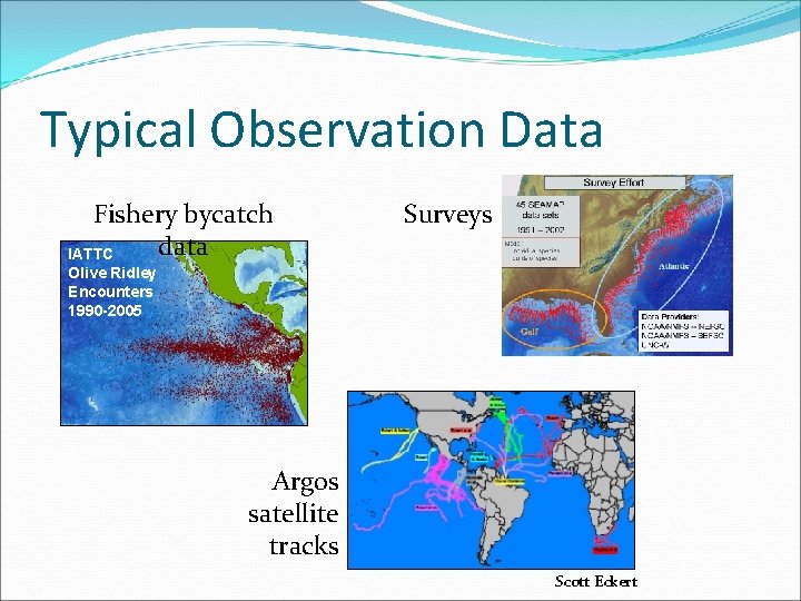 Typical Observation Data Fishery bycatch data IATTC Surveys Olive Ridley Encounters 1990 -2005 Argos