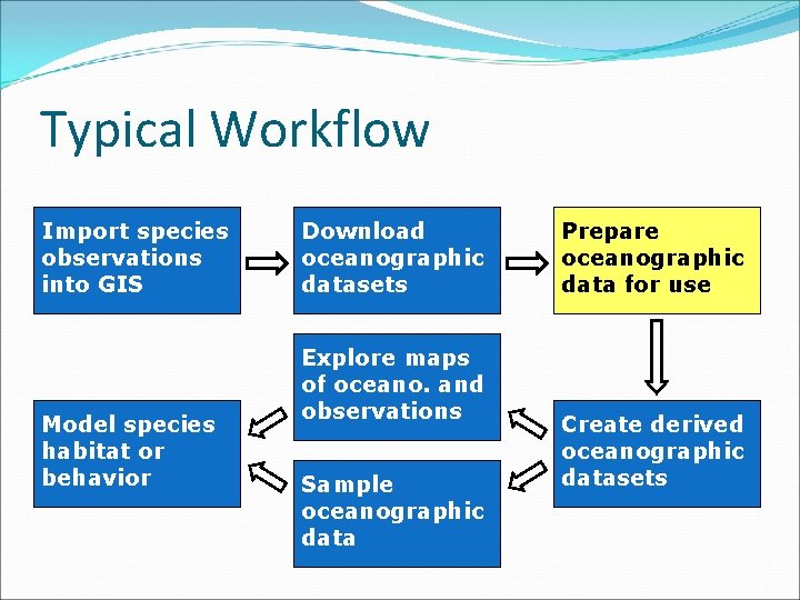 Typical Workflow Import species observations into GIS Model species habitat or behavior Download oceanographic