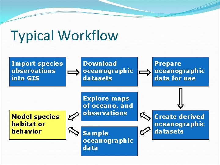 Typical Workflow Import species observations into GIS Model species habitat or behavior Download oceanographic