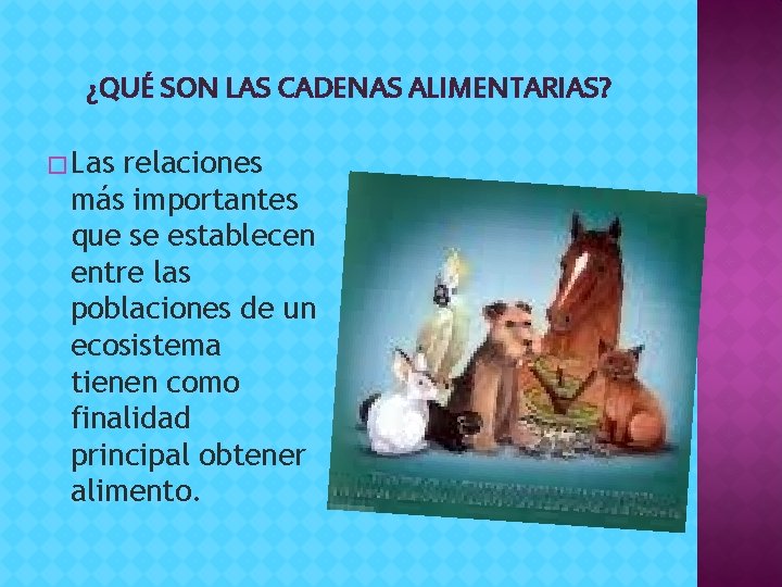 ¿QUÉ SON LAS CADENAS ALIMENTARIAS? � Las relaciones más importantes que se establecen entre