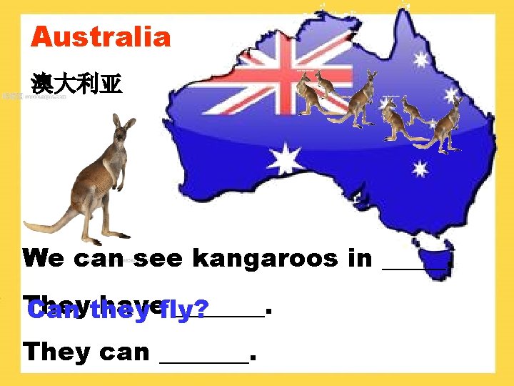 Australia 澳大利亚 We can see kangaroos in _____. They havefly? _______. Can they They