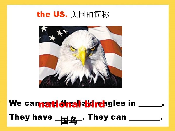 the US. 美国的简称 We cannational see the bald eagles in ______. bird They have