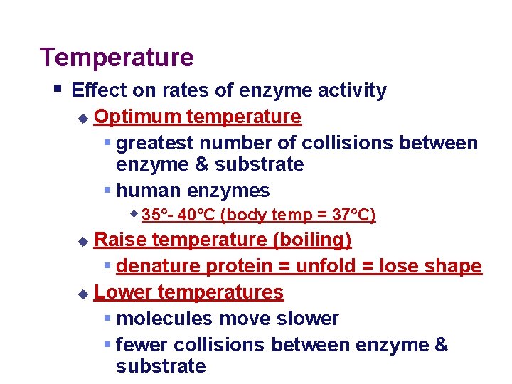 Temperature § Effect on rates of enzyme activity Optimum temperature § greatest number of