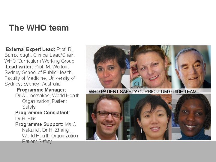 The WHO team External Expert Lead: Prof. B. Barraclough, Clinical Lead/Chair, WHO Curriculum Working