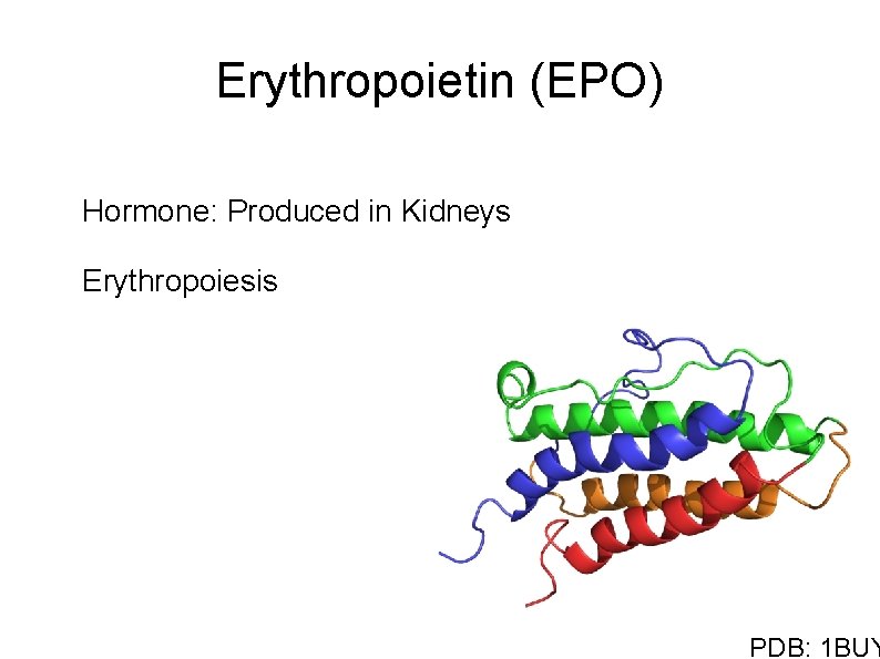 Erythropoietin (EPO) Hormone: Produced in Kidneys Erythropoiesis 1 BUY PDB: 1 BUY 