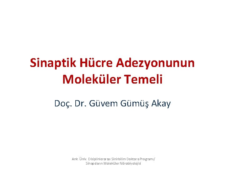 Sinaptik Hücre Adezyonunun Moleküler Temeli Doç. Dr. Güvem Gümüş Akay Ank. Üniv. Disiplinlerarası Sinirbilim Sinaptik Hücre Adezyonunun Moleküler Temeli Doç. Dr. Güvem Gümüş Akay Ank. Üniv. Disiplinlerarası Sinirbilim