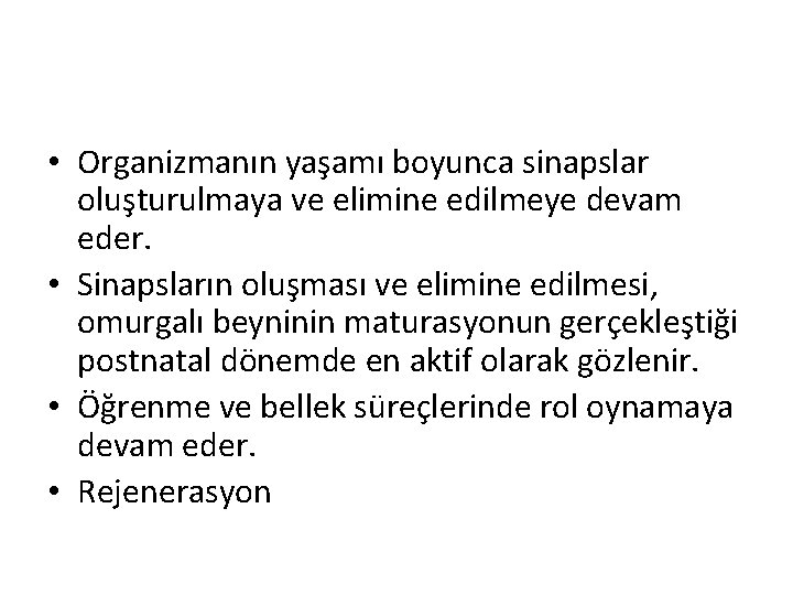 • Organizmanın yaşamı boyunca sinapslar oluşturulmaya ve elimine edilmeye devam eder. • Sinapsların • Organizmanın yaşamı boyunca sinapslar oluşturulmaya ve elimine edilmeye devam eder. • Sinapsların