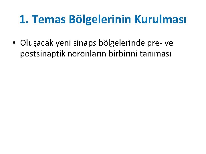 1. Temas Bölgelerinin Kurulması • Oluşacak yeni sinaps bölgelerinde pre- ve postsinaptik nöronların birbirini 1. Temas Bölgelerinin Kurulması • Oluşacak yeni sinaps bölgelerinde pre- ve postsinaptik nöronların birbirini