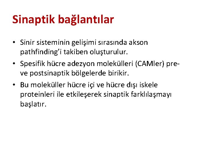 Sinaptik bağlantılar • Sinir sisteminin gelişimi sırasında akson pathfinding’i takiben oluşturulur. • Spesifik hücre Sinaptik bağlantılar • Sinir sisteminin gelişimi sırasında akson pathfinding’i takiben oluşturulur. • Spesifik hücre