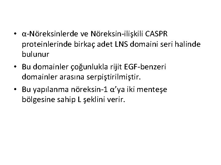 • α-Nöreksinlerde ve Nöreksin-ilişkili CASPR proteinlerinde birkaç adet LNS domaini seri halinde bulunur • α-Nöreksinlerde ve Nöreksin-ilişkili CASPR proteinlerinde birkaç adet LNS domaini seri halinde bulunur