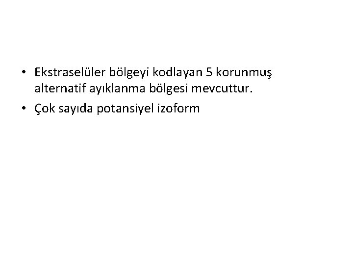 • Ekstraselüler bölgeyi kodlayan 5 korunmuş alternatif ayıklanma bölgesi mevcuttur. • Çok sayıda • Ekstraselüler bölgeyi kodlayan 5 korunmuş alternatif ayıklanma bölgesi mevcuttur. • Çok sayıda