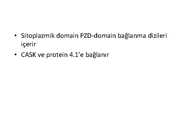 • Sitoplazmik domain PZD-domain bağlanma dizileri içerir • CASK ve protein 4. 1’e • Sitoplazmik domain PZD-domain bağlanma dizileri içerir • CASK ve protein 4. 1’e