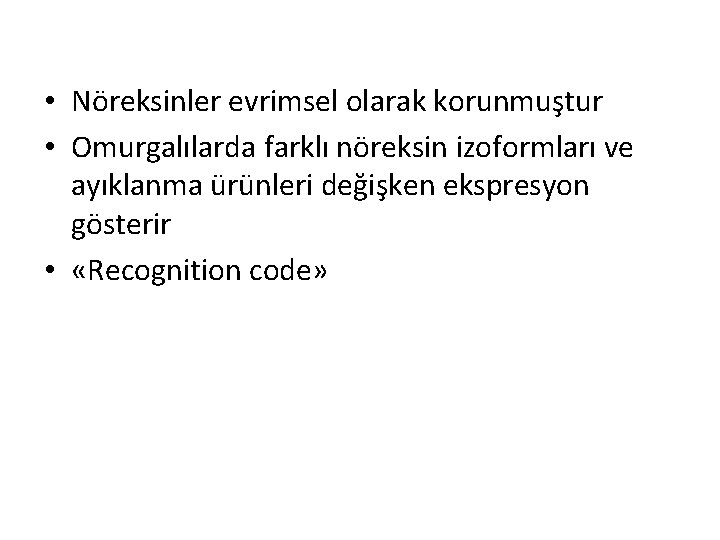 • Nöreksinler evrimsel olarak korunmuştur • Omurgalılarda farklı nöreksin izoformları ve ayıklanma ürünleri • Nöreksinler evrimsel olarak korunmuştur • Omurgalılarda farklı nöreksin izoformları ve ayıklanma ürünleri