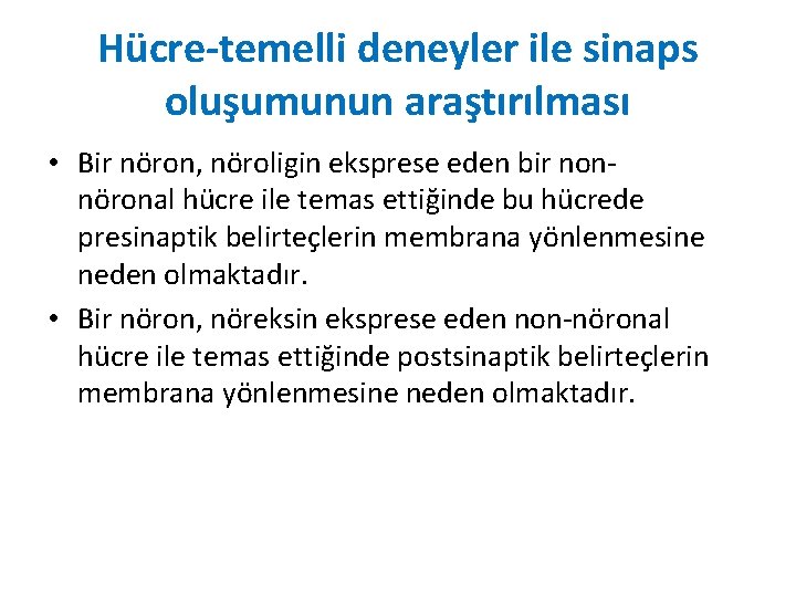 Hücre-temelli deneyler ile sinaps oluşumunun araştırılması • Bir nöron, nöroligin eksprese eden bir nonnöronal Hücre-temelli deneyler ile sinaps oluşumunun araştırılması • Bir nöron, nöroligin eksprese eden bir nonnöronal