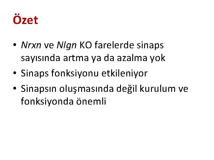 Özet • Nrxn ve Nlgn KO farelerde sinaps sayısında artma ya da azalma yok Özet • Nrxn ve Nlgn KO farelerde sinaps sayısında artma ya da azalma yok