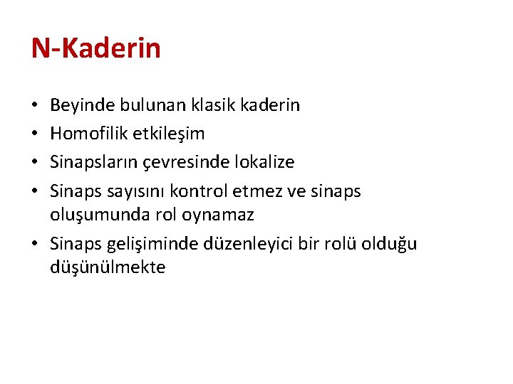 N-Kaderin Beyinde bulunan klasik kaderin Homofilik etkileşim Sinapsların çevresinde lokalize Sinaps sayısını kontrol etmez N-Kaderin Beyinde bulunan klasik kaderin Homofilik etkileşim Sinapsların çevresinde lokalize Sinaps sayısını kontrol etmez