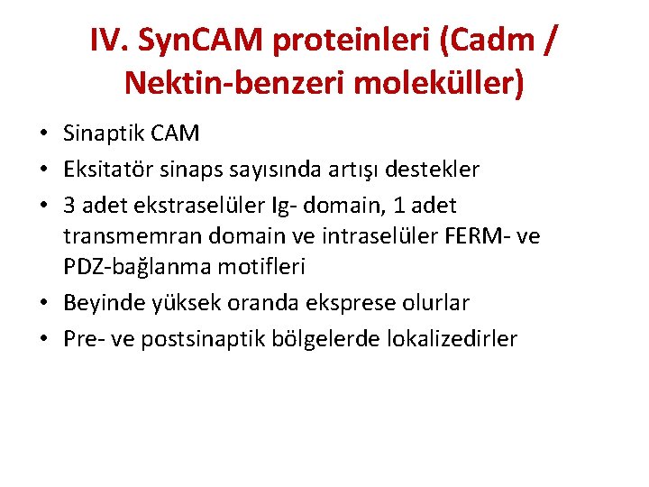 IV. Syn. CAM proteinleri (Cadm / Nektin-benzeri moleküller) • Sinaptik CAM • Eksitatör sinaps IV. Syn. CAM proteinleri (Cadm / Nektin-benzeri moleküller) • Sinaptik CAM • Eksitatör sinaps