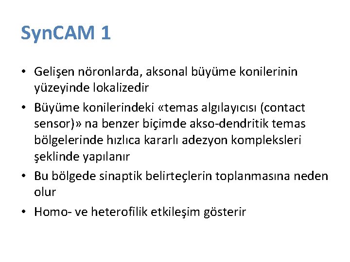 Syn. CAM 1 • Gelişen nöronlarda, aksonal büyüme konilerinin yüzeyinde lokalizedir • Büyüme konilerindeki Syn. CAM 1 • Gelişen nöronlarda, aksonal büyüme konilerinin yüzeyinde lokalizedir • Büyüme konilerindeki