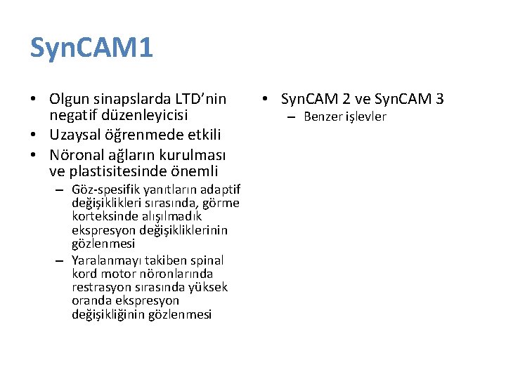 Syn. CAM 1 • Olgun sinapslarda LTD’nin negatif düzenleyicisi • Uzaysal öğrenmede etkili • Syn. CAM 1 • Olgun sinapslarda LTD’nin negatif düzenleyicisi • Uzaysal öğrenmede etkili •