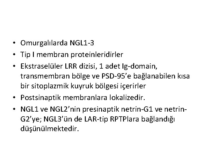 • Omurgalılarda NGL 1 -3 • Tip I membran proteinleridirler • Ekstraselüler LRR • Omurgalılarda NGL 1 -3 • Tip I membran proteinleridirler • Ekstraselüler LRR