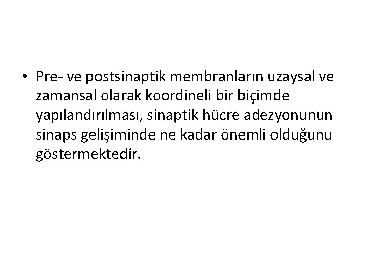 • Pre- ve postsinaptik membranların uzaysal ve zamansal olarak koordineli bir biçimde yapılandırılması, • Pre- ve postsinaptik membranların uzaysal ve zamansal olarak koordineli bir biçimde yapılandırılması,