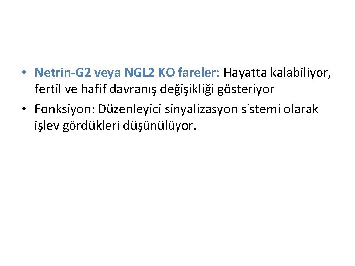• Netrin-G 2 veya NGL 2 KO fareler: Hayatta kalabiliyor, fertil ve hafif • Netrin-G 2 veya NGL 2 KO fareler: Hayatta kalabiliyor, fertil ve hafif
