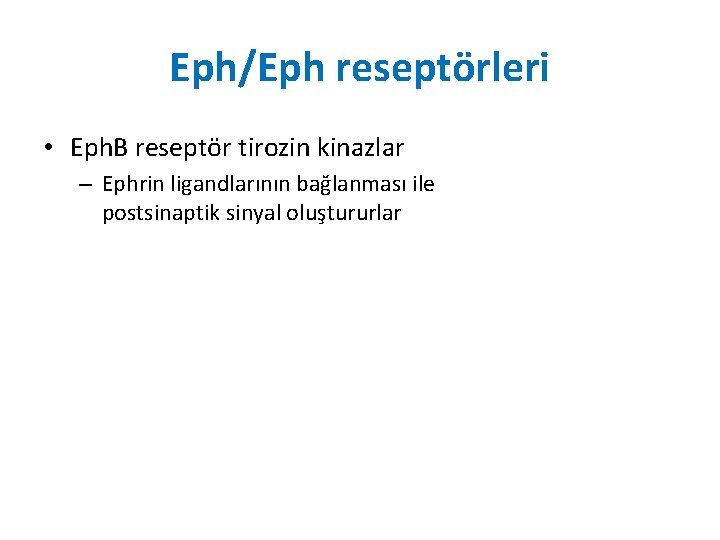 Eph/Eph reseptörleri • Eph. B reseptör tirozin kinazlar – Ephrin ligandlarının bağlanması ile postsinaptik Eph/Eph reseptörleri • Eph. B reseptör tirozin kinazlar – Ephrin ligandlarının bağlanması ile postsinaptik