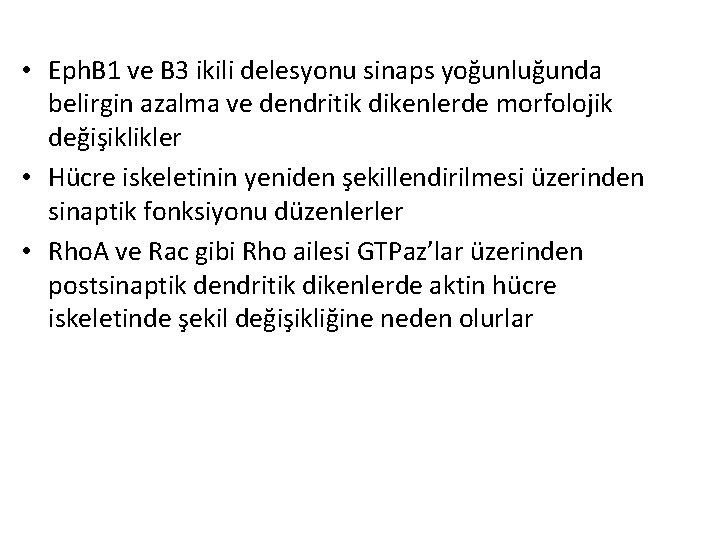 • Eph. B 1 ve B 3 ikili delesyonu sinaps yoğunluğunda belirgin azalma • Eph. B 1 ve B 3 ikili delesyonu sinaps yoğunluğunda belirgin azalma