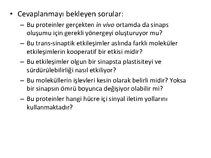 • Cevaplanmayı bekleyen sorular: – Bu proteinler gerçekten in vivo ortamda da sinaps • Cevaplanmayı bekleyen sorular: – Bu proteinler gerçekten in vivo ortamda da sinaps
