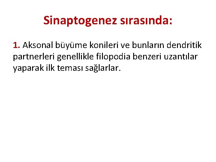 Sinaptogenez sırasında: 1. Aksonal büyüme konileri ve bunların dendritik partnerleri genellikle filopodia benzeri uzantılar Sinaptogenez sırasında: 1. Aksonal büyüme konileri ve bunların dendritik partnerleri genellikle filopodia benzeri uzantılar