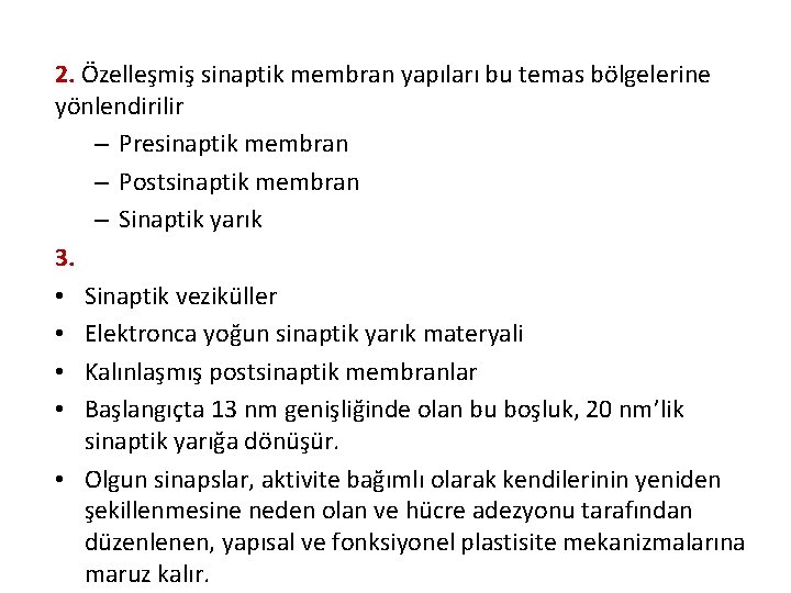 2. Özelleşmiş sinaptik membran yapıları bu temas bölgelerine yönlendirilir – Presinaptik membran – Postsinaptik 2. Özelleşmiş sinaptik membran yapıları bu temas bölgelerine yönlendirilir – Presinaptik membran – Postsinaptik